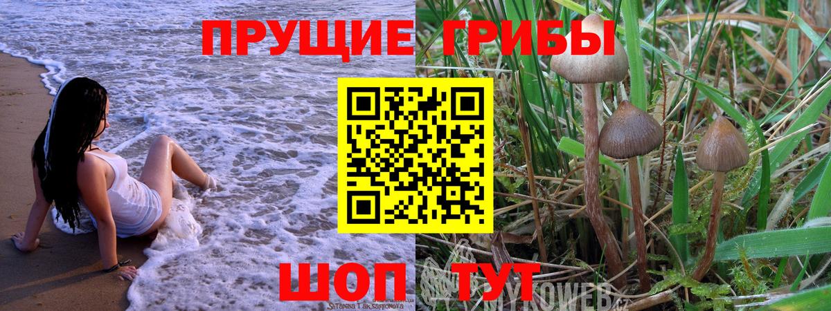 Псилоцибиновые грибы MAGIC MUSHROOMS Златоуст